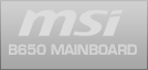 MSI Mainboard