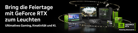 NVIDIA Holiday